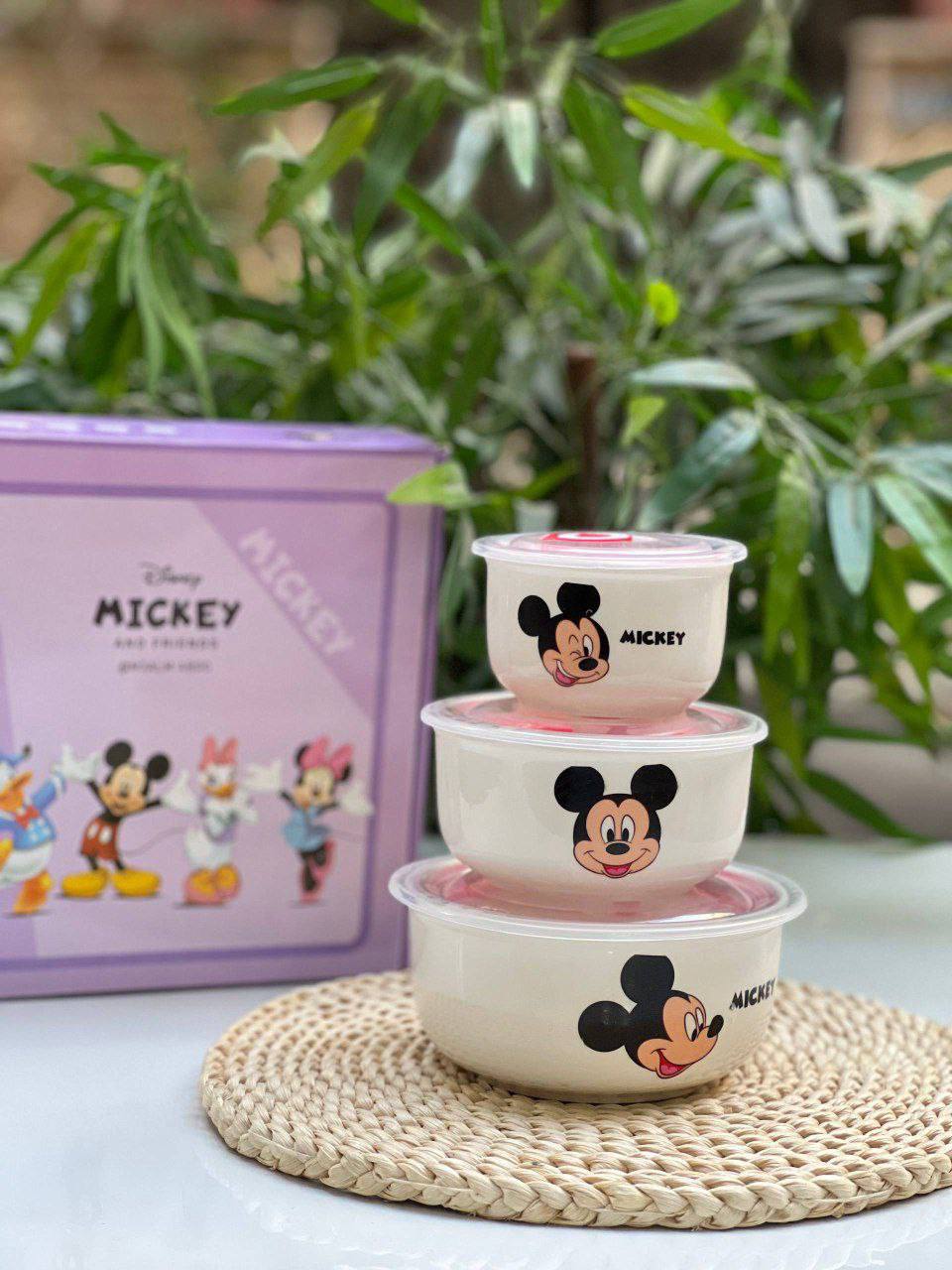 Disney 3-piece porcelain refrigerator set