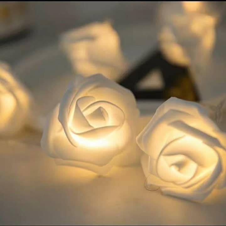 Lighted Rose branch