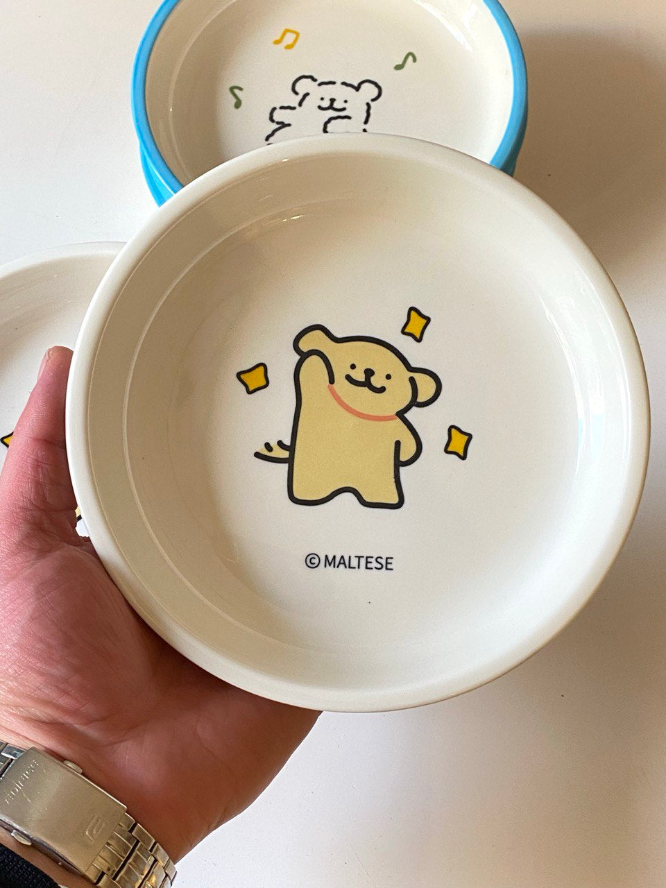 Porcelain plate