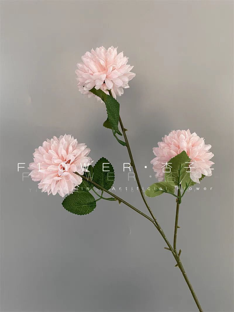 Rose branch