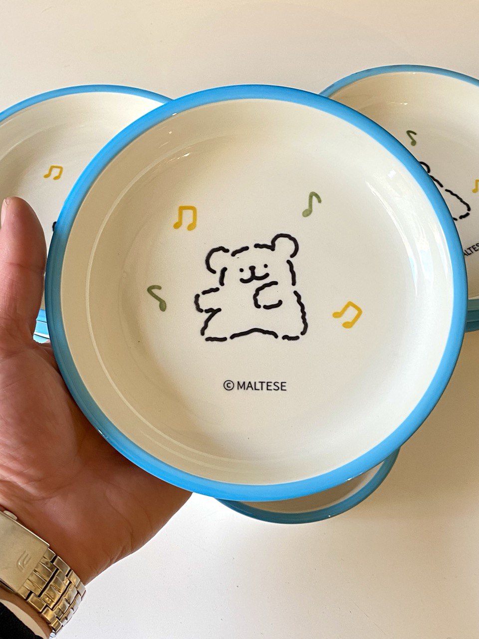 Porcelain plate