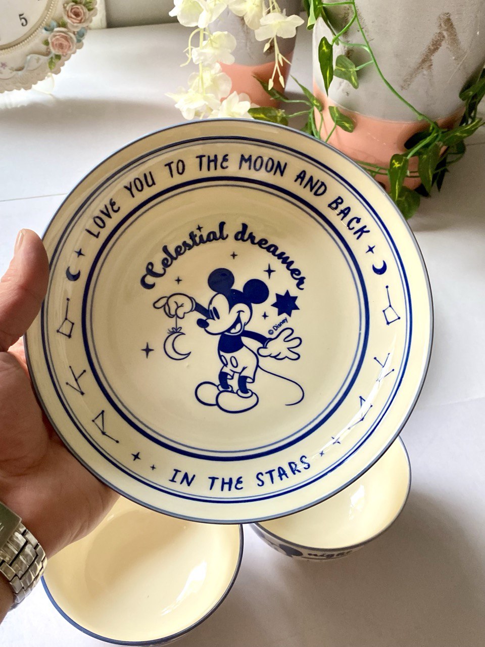 Porcelain plate