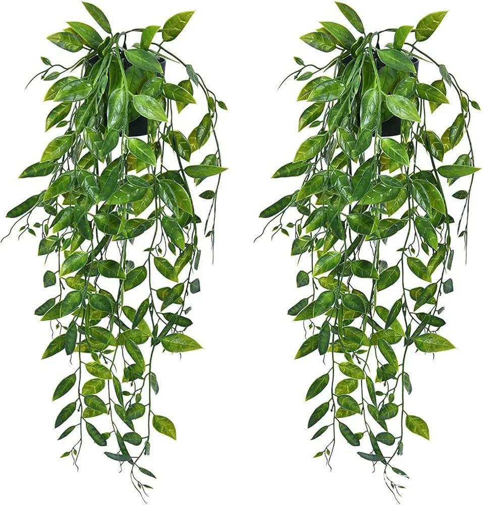 Flowering plant waterfall