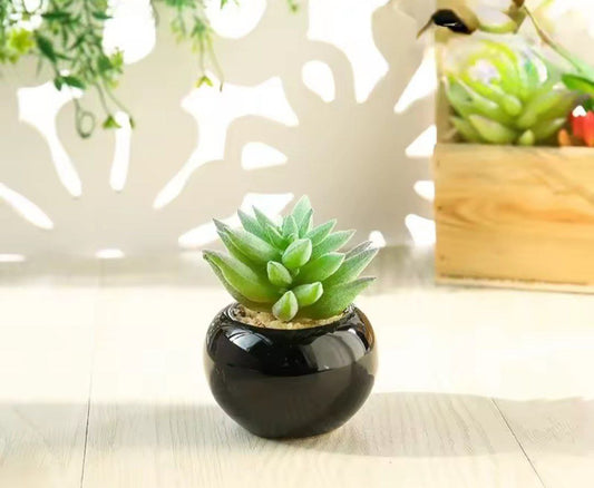 Porcelain planting pot