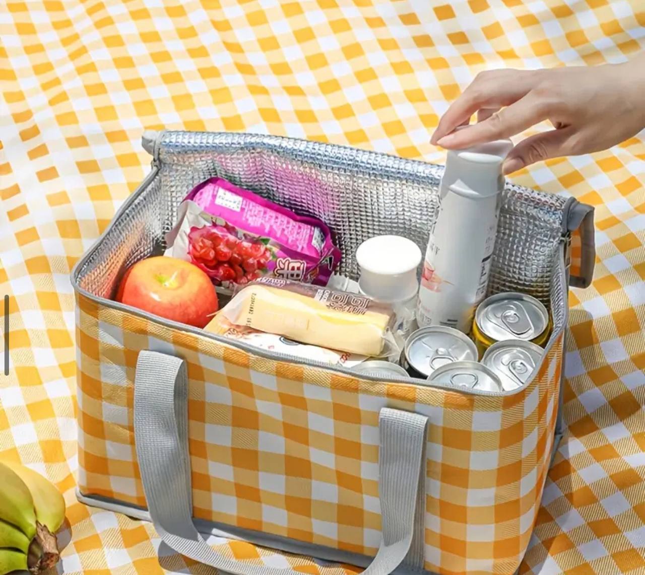 Thermal lunch bag